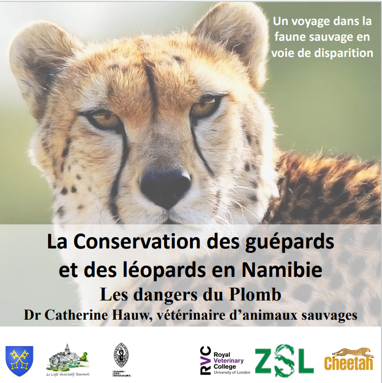 SAM. 28 OCT : Conférence sur la conservations des grands félins en Namibie